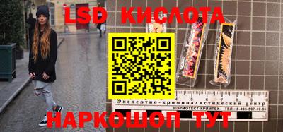 стаф Ставрополь