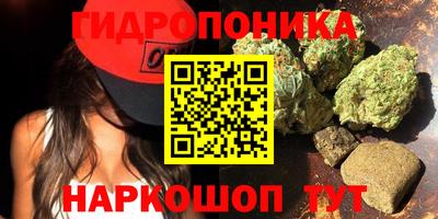 стаф Ставрополь