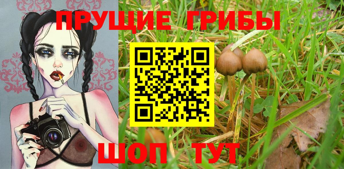 Галлюциногенные грибы мицелий  Галлюциногенные грибы Magic Shrooms  Вход с VPN  Нижнекамск 